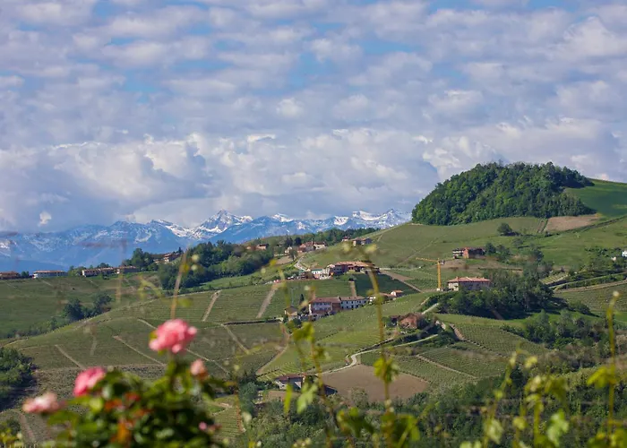 Monforte Barolo With Private Pool - Langhe Gateway Villa *